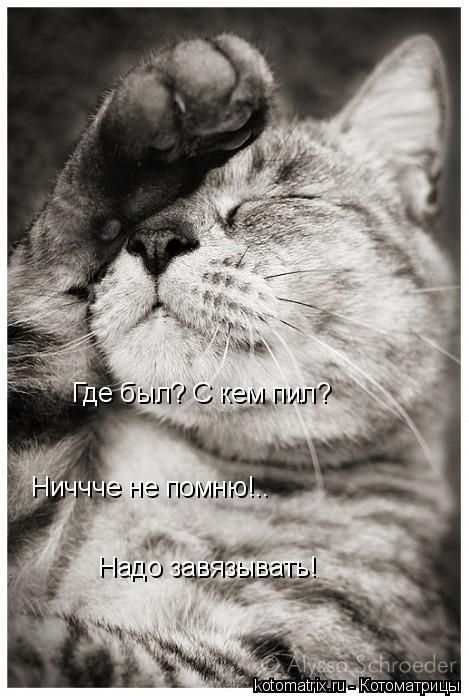 Где был? С кем пил? Ниччче не помню!.. Надо завязывать!... Котоматрица: Где был? С кем пил? Ниччче не помню!.. Надо завязывать!