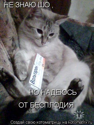 НЕ ЗНАЮ ШО , НО НАДЕЮСЬ ОТ БЕСПЛОДИЯ... Котоматрица: НЕ ЗНАЮ ШО , НО НАДЕЮСЬ ОТ БЕСПЛОДИЯ