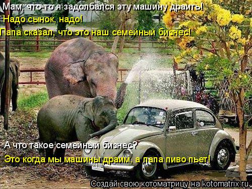 Мам, что-то я задолбался эту машину драить! Надо сынок, надо! Папа сказал, что это наш семейный бизне... Котоматрица: Мам, что-то я задолбался эту машину драить! Надо сынок, надо! Папа сказал, что это наш семейный бизнес! А что такое семейный бизнес? Это когда