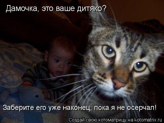 Дамочка, это ваше дитяко? Заберите его уже наконец, пока я не осерчал!... Котоматрица: Дамочка, это ваше дитяко? Заберите его уже наконец, пока я не осерчал!
