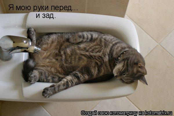 Я мою руки перед... и зад.... Котоматрица: Я мою руки перед... и зад.