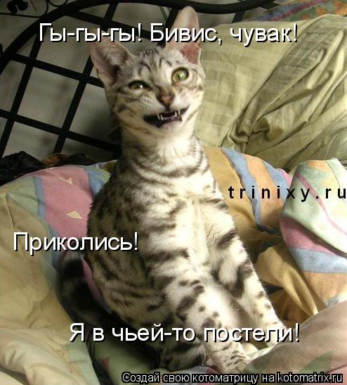 Гы-гы-гы! Бивис, чувак! Приколись! Я в чьей-то постели!... Котоматрица: Гы-гы-гы! Бивис, чувак! Приколись! Я в чьей-то постели!