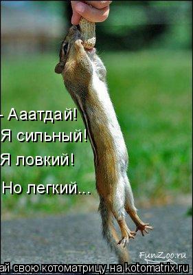 - Ааатдай! Я сильный! Я ловкий! Но легкий...... Котоматрица: - Ааатдай! Я сильный! Я ловкий! Но легкий...