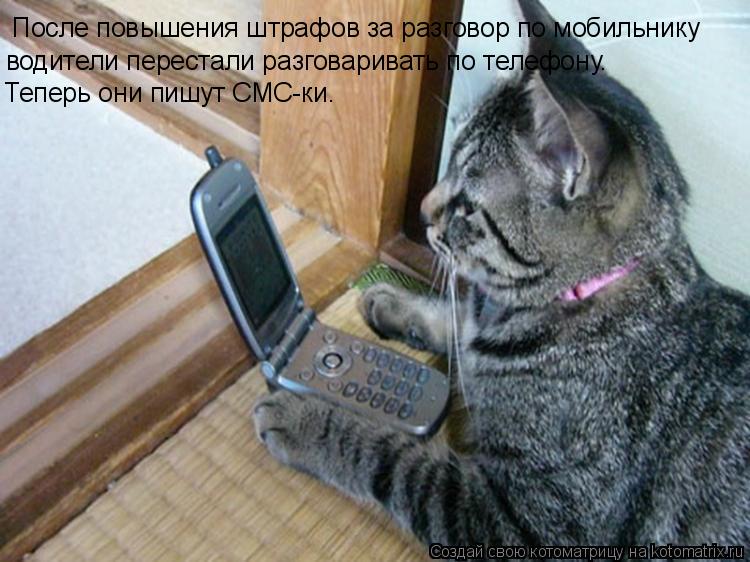 После повышения штрафов за разговор по мобильнику водители перестали разговаривать по телефону. Теп... Котоматрица: После повышения штрафов за разговор по мобильнику водители перестали разговаривать по телефону. Теперь они пишут СМС-ки.