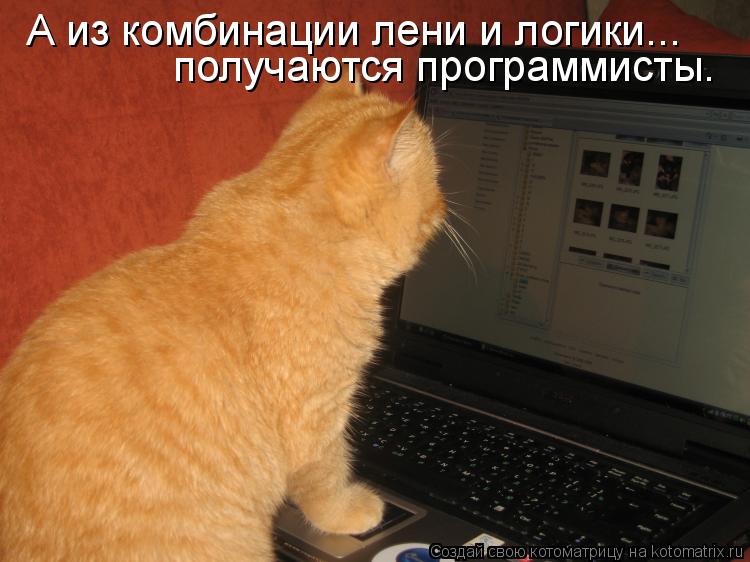 А из комбинации лени и логики... получаются программисты.... Котоматрица: А из комбинации лени и логики... получаются программисты.
