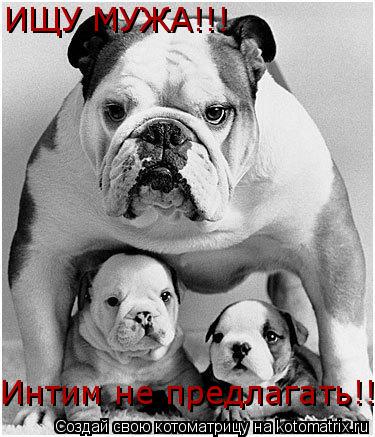 ИЩУ МУЖА!!! Интим не предлагать!!... Котоматрица: ИЩУ МУЖА!!! Интим не предлагать!!