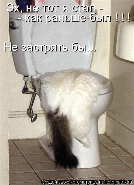 Эх, не тот я стал - - как раньше был ! ! ! Не застрять бы...... Котоматрица: Эх, не тот я стал - - как раньше был ! ! ! Не застрять бы...