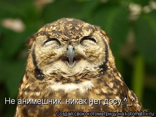 Не анимешник, никак нет дэсу ^_^... Котоматрица: Не анимешник, никак нет дэсу ^_^