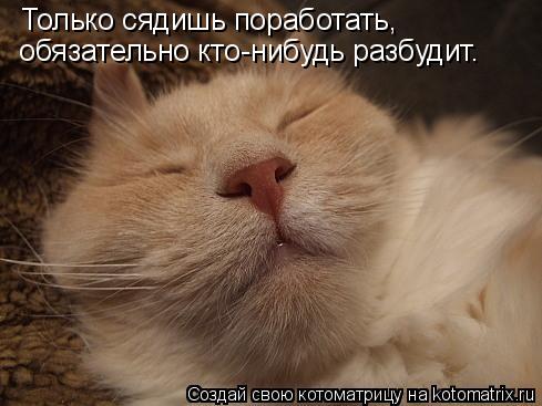 Только сядишь поработать, обязательно кто-нибудь разбудит.... Котоматрица: Только сядишь поработать, обязательно кто-нибудь разбудит.