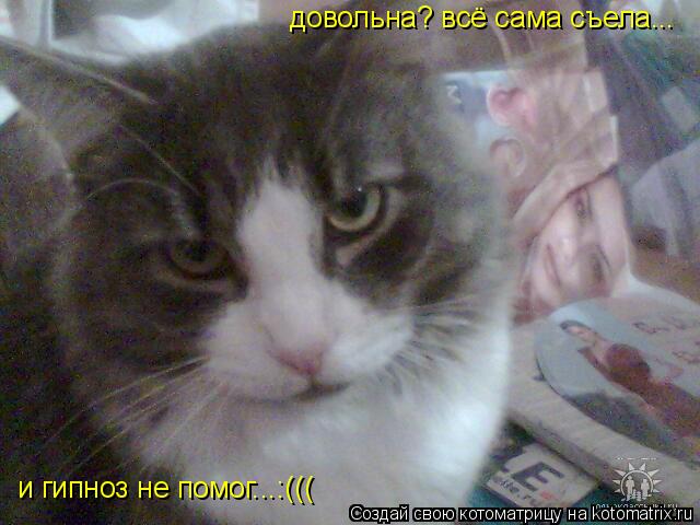 довольна? всё сама съела... и гипноз не помог...:(((... Котоматрица: довольна? всё сама съела... и гипноз не помог...:(((