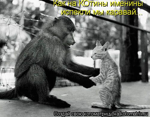 Как на КОтины именины испекли мы каравай...... Котоматрица: Как на КОтины именины испекли мы каравай...