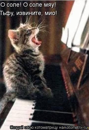 О соле! О соле мяу! Тьфу, извините, мио!... Котоматрица: О соле! О соле мяу! Тьфу, извините, мио!