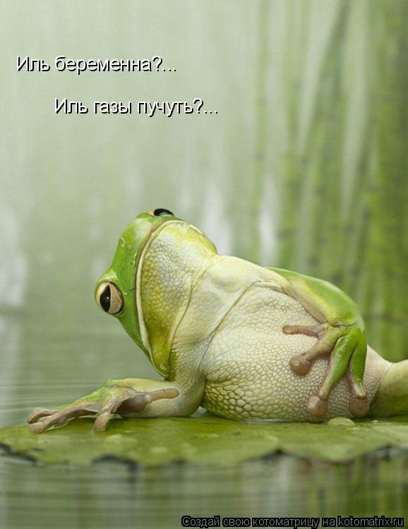 Иль беременна?... Иль газы пучуть?...... Котоматрица: Иль беременна?... Иль газы пучуть?...