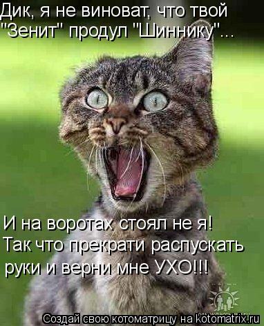 Дик, я не виноват, что твой "Зенит" продул "Шиннику"... И на воротах стоял не я! Так что прекрати ра... Котоматрица: Дик, я не виноват, что твой "Зенит" продул "Шиннику"... И на воротах стоял не я! Так что прекрати распускать руки и верни мне УХО!!!