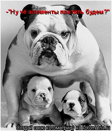 -"Ну чё алементы платить будем?"... Котоматрица: -"Ну чё алементы платить будем?"