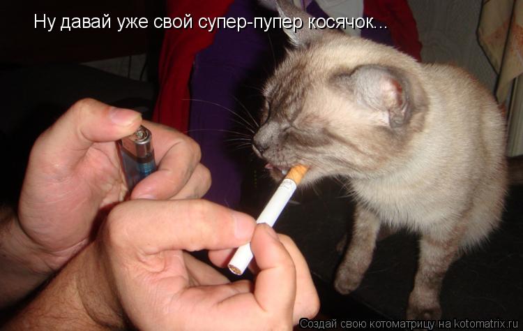 Ну давай уже свой супер-пупер косячок...... Котоматрица: Ну давай уже свой супер-пупер косячок...