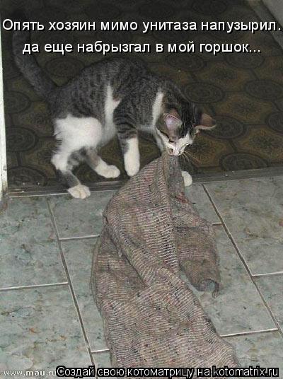 Опять хозяин мимо унитаза напузырил... да еще набрызгал в мой горшок...... Котоматрица: Опять хозяин мимо унитаза напузырил... да еще набрызгал в мой горшок...