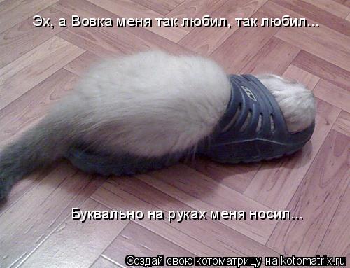 Эх, а Вовка меня так любил, так любил... Буквально на руках меня носил...... Котоматрица: Эх, а Вовка меня так любил, так любил... Буквально на руках меня носил...