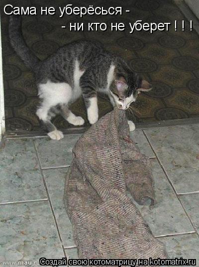 Сама не уберёсься - - ни кто не уберет ! ! !... Котоматрица: Сама не уберёсься - - ни кто не уберет ! ! !