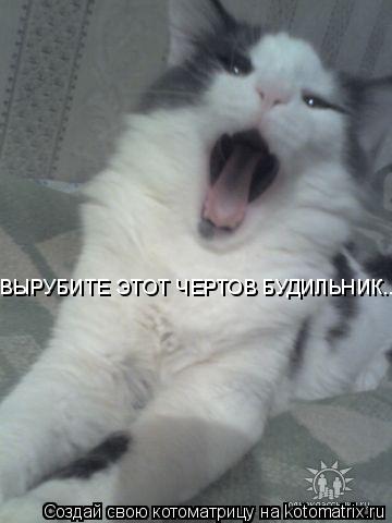 ВЫРУБИТЕ ЭТОТ ЧЕРТОВ БУДИЛЬНИК...... Котоматрица: ВЫРУБИТЕ ЭТОТ ЧЕРТОВ БУДИЛЬНИК...