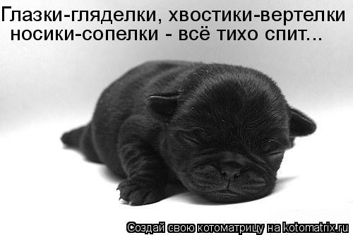 Глазки-гляделки, хвостики-вертелки носики-сопелки - всё тихо спит...... Котоматрица: Глазки-гляделки, хвостики-вертелки носики-сопелки - всё тихо спит...