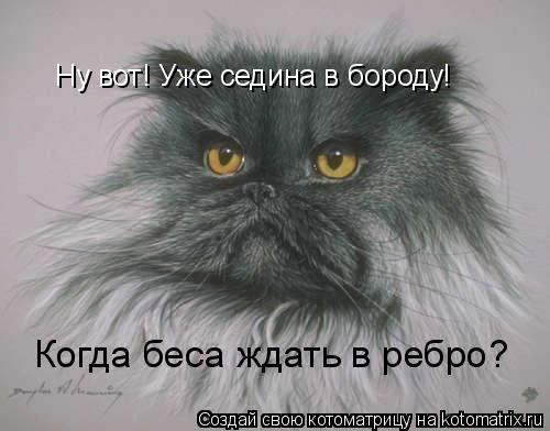 Ну вот! Уже седина в бороду! Когда беса ждать в ребро?... Котоматрица: Ну вот! Уже седина в бороду! Когда беса ждать в ребро?