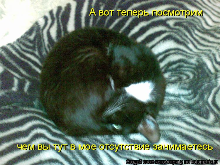 А вот теперь посмотрим что вы тут в мое отсутствие делаете А вот теперь посмотрим А вот теперь посмо... Котоматрица: А вот теперь посмотрим что вы тут в мое отсутствие делаете А вот теперь посмотрим А вот теперь посмотрим чем вы тут в мое отсутствие занима