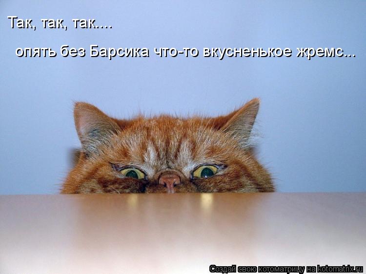 Так, так, так.... опять без Барсика что-то вкусненькое жремс...... Котоматрица: Так, так, так.... опять без Барсика что-то вкусненькое жремс...