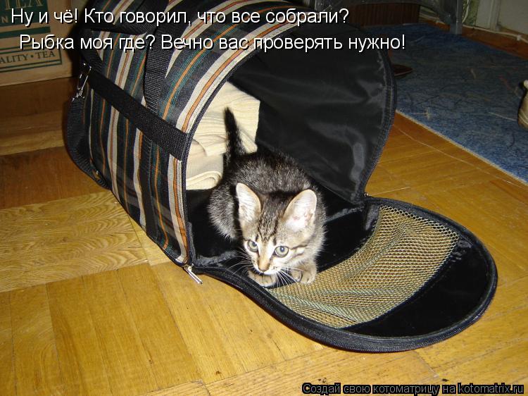 Ну и чё! Кто говорил, что все собрали? Рыбка моя где? Вечно вас проверять нужно!... Котоматрица: Ну и чё! Кто говорил, что все собрали? Рыбка моя где? Вечно вас проверять нужно!
