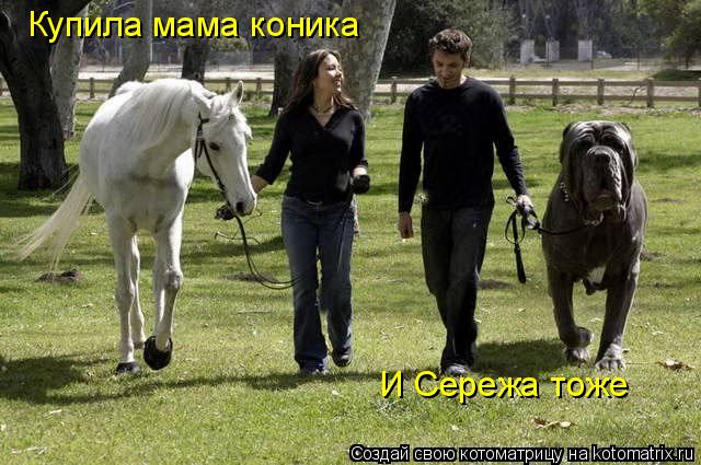 Купила мама коника И Сережа тоже... Котоматрица: Купила мама коника И Сережа тоже
