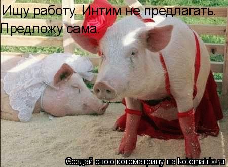 Ищу работу. Интим не предлагать. Предложу сама.... Котоматрица: Ищу работу. Интим не предлагать. Предложу сама.