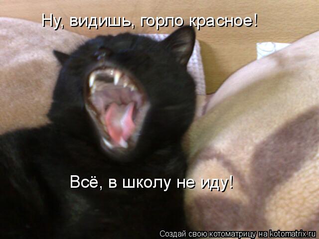 Ну, видишь, горло красное! Всё, в школу не иду!... Котоматрица: Ну, видишь, горло красное! Всё, в школу не иду!