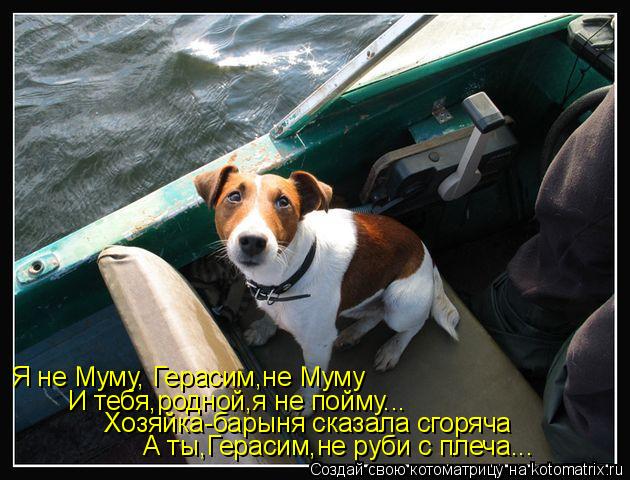 Котоматрица: Я не Муму, Герасим,не Муму И тебя,родной,я не пойму... Хозяйка-барыня сказала сгоряча А ты,Герасим,не руби с плеча...