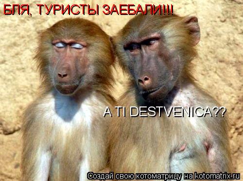 A TI DESTVENICA?? БЛЯ, ТУРИСТЫ ЗАЕБАЛИ!!!... Котоматрица: A TI DESTVENICA?? БЛЯ, ТУРИСТЫ ЗАЕБАЛИ!!!
