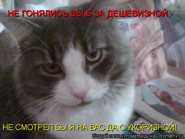 НЕ ГОНЯЛИСЬ ВЫ Б ЗА ДЕШЕВИЗНОЙ,- НЕ СМОТРЕЛ БЫ Я НА ВАС ДА С УКОРИЗНОЙ!... Котоматрица: НЕ ГОНЯЛИСЬ ВЫ Б ЗА ДЕШЕВИЗНОЙ,- НЕ СМОТРЕЛ БЫ Я НА ВАС ДА С УКОРИЗНОЙ!
