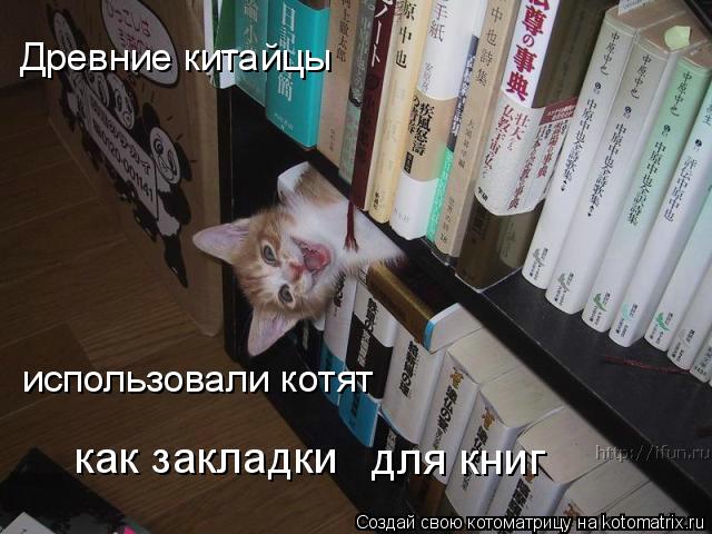 Древние китайцы использовали котят как закладки для книг... Котоматрица: Древние китайцы использовали котят как закладки для книг