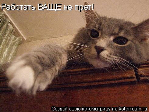 Работать ВАЩЕ не прет!... Котоматрица: Работать ВАЩЕ не прет!