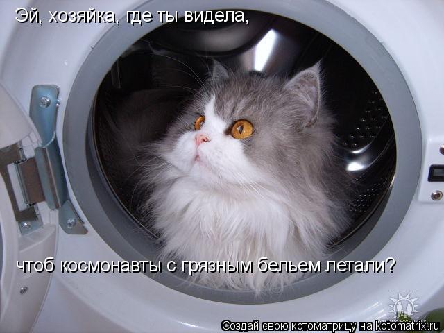 Эй, хозяйка, где ты видела, чтоб космонавты с грязным бельем летали?... Котоматрица: Эй, хозяйка, где ты видела, чтоб космонавты с грязным бельем летали?