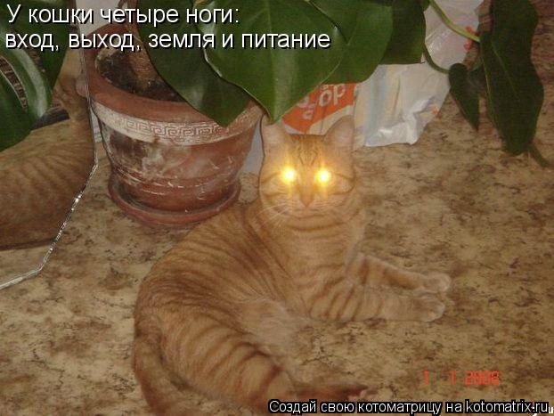 У кошки четыре ноги: вход, выход, земля и питание... Котоматрица: У кошки четыре ноги: вход, выход, земля и питание