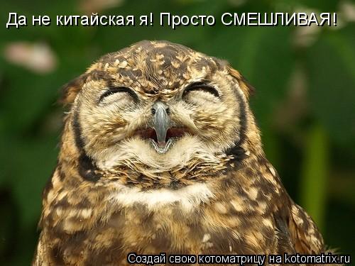 Котоматрица: Да не китайская я! Просто СМЕШЛИВАЯ!