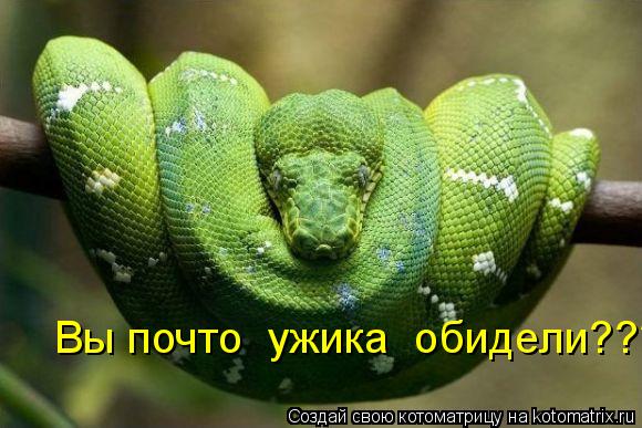 Вы почто ужика обидели???... Котоматрица: Вы почто ужика обидели???