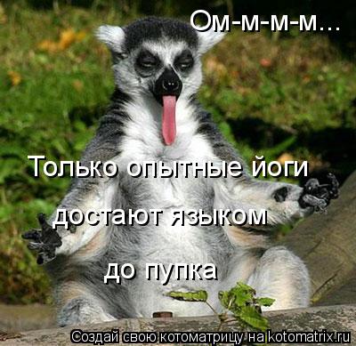 Ом-м-м-м... Только опытные йоги достают языком до пупка... Котоматрица: Ом-м-м-м... Только опытные йоги достают языком до пупка