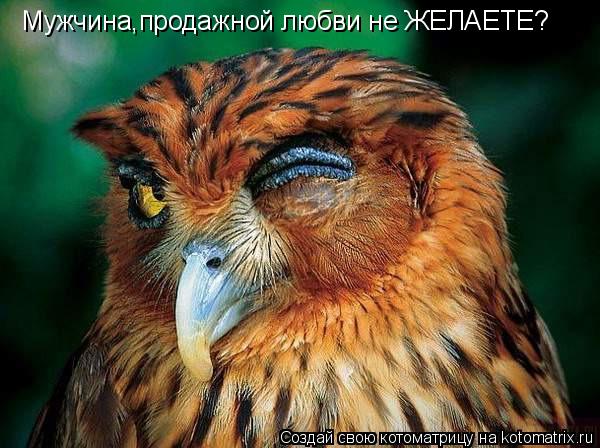 Котоматрица: Мужчина,продажной любви не ЖЕЛАЕТЕ?