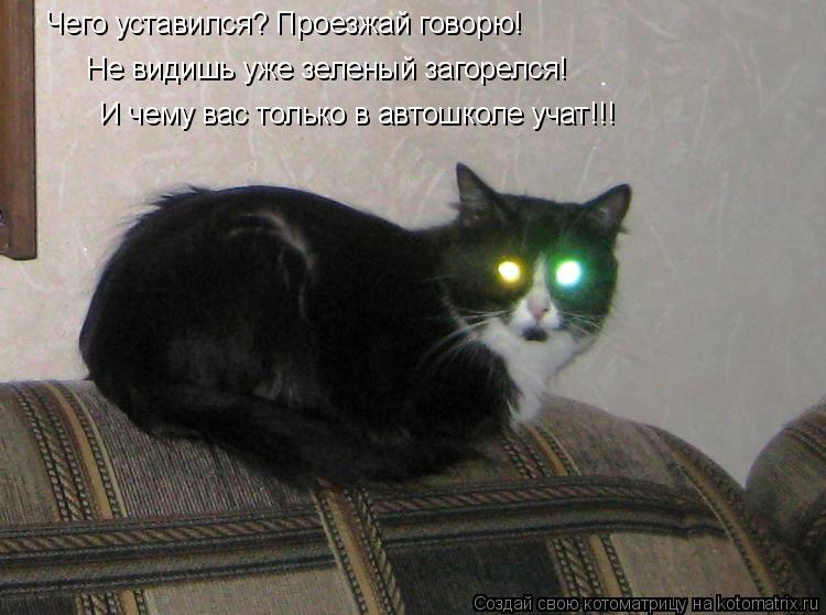 Чего уставился? Проезжай говорю! Не видишь уже зеленый загорелся! И чему вас только в автошколе учат!... Котоматрица: Чего уставился? Проезжай говорю! Не видишь уже зеленый загорелся! И чему вас только в автошколе учат!!!