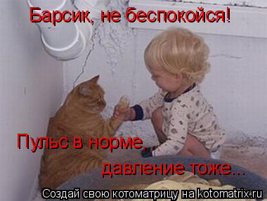 Барсик, не беспокойся! Пульс в норме, давление тоже...... Котоматрица: Барсик, не беспокойся! Пульс в норме, давление тоже...