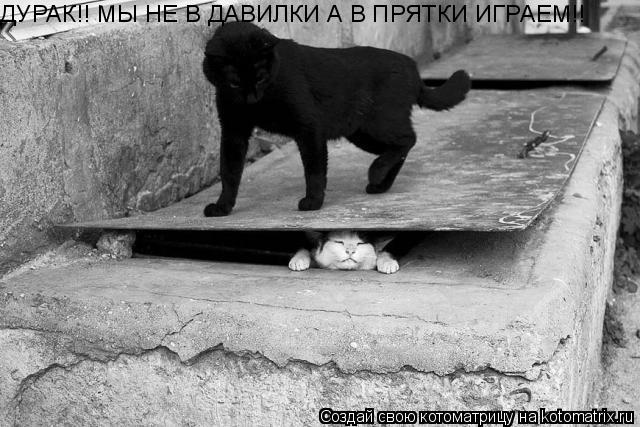 ДУРАК!! МЫ НЕ В ДАВИЛКИ А В ПРЯТКИ ИГРАЕМ!!... Котоматрица: ДУРАК!! МЫ НЕ В ДАВИЛКИ А В ПРЯТКИ ИГРАЕМ!!