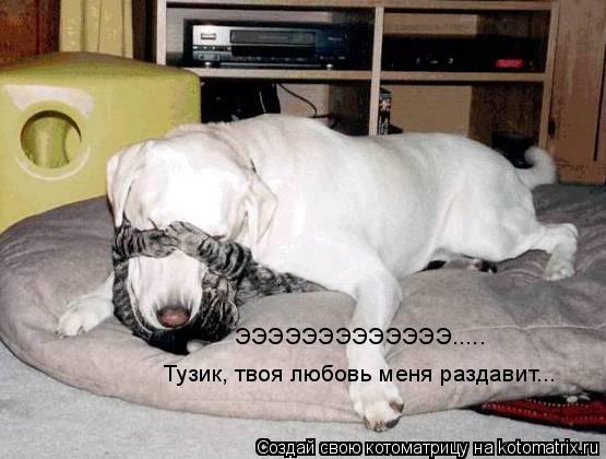 ЭЭЭЭЭЭЭЭЭЭЭЭЭ..... Тузик, твоя любовь меня раздавит...... Котоматрица: ЭЭЭЭЭЭЭЭЭЭЭЭЭ..... Тузик, твоя любовь меня раздавит...