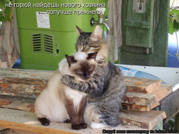 не горюй,найдёшь нового хозяина получше прежнего.... Котоматрица: не горюй,найдёшь нового хозяина получше прежнего.