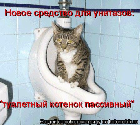 Новое средство для унитазов: "туалетный котенок пассивный"... Котоматрица: Новое средство для унитазов: "туалетный котенок пассивный"