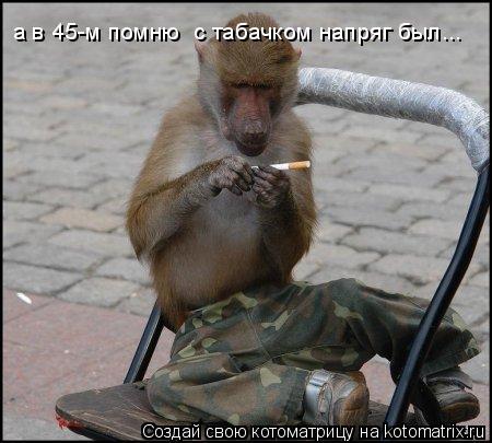 а в 45-м помню с табачком напряг был...... Котоматрица: а в 45-м помню с табачком напряг был...